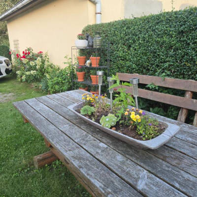 Platztyp für 6 Personen (Campspace 32596)
