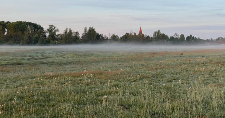 An der Kranichweide