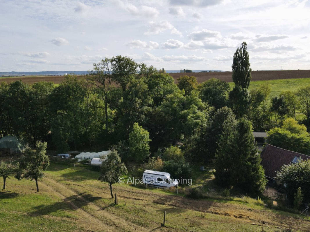 AlpacaCamping 2148