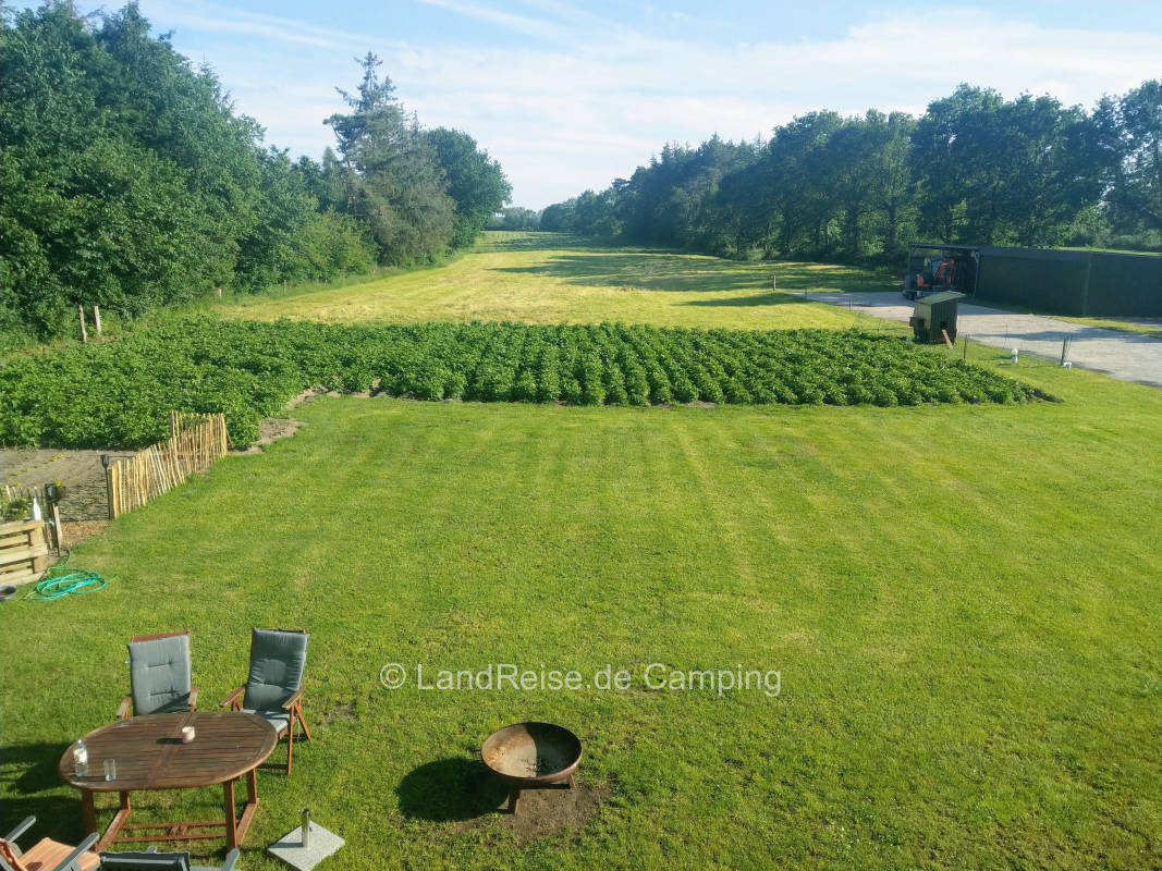 Wiese zwischen den Wäldern