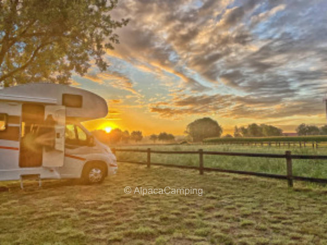 Münsterländer farm on the outskirts of the village #1