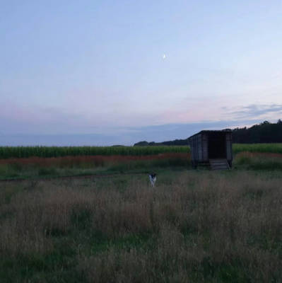 Alter sportplatz wardow