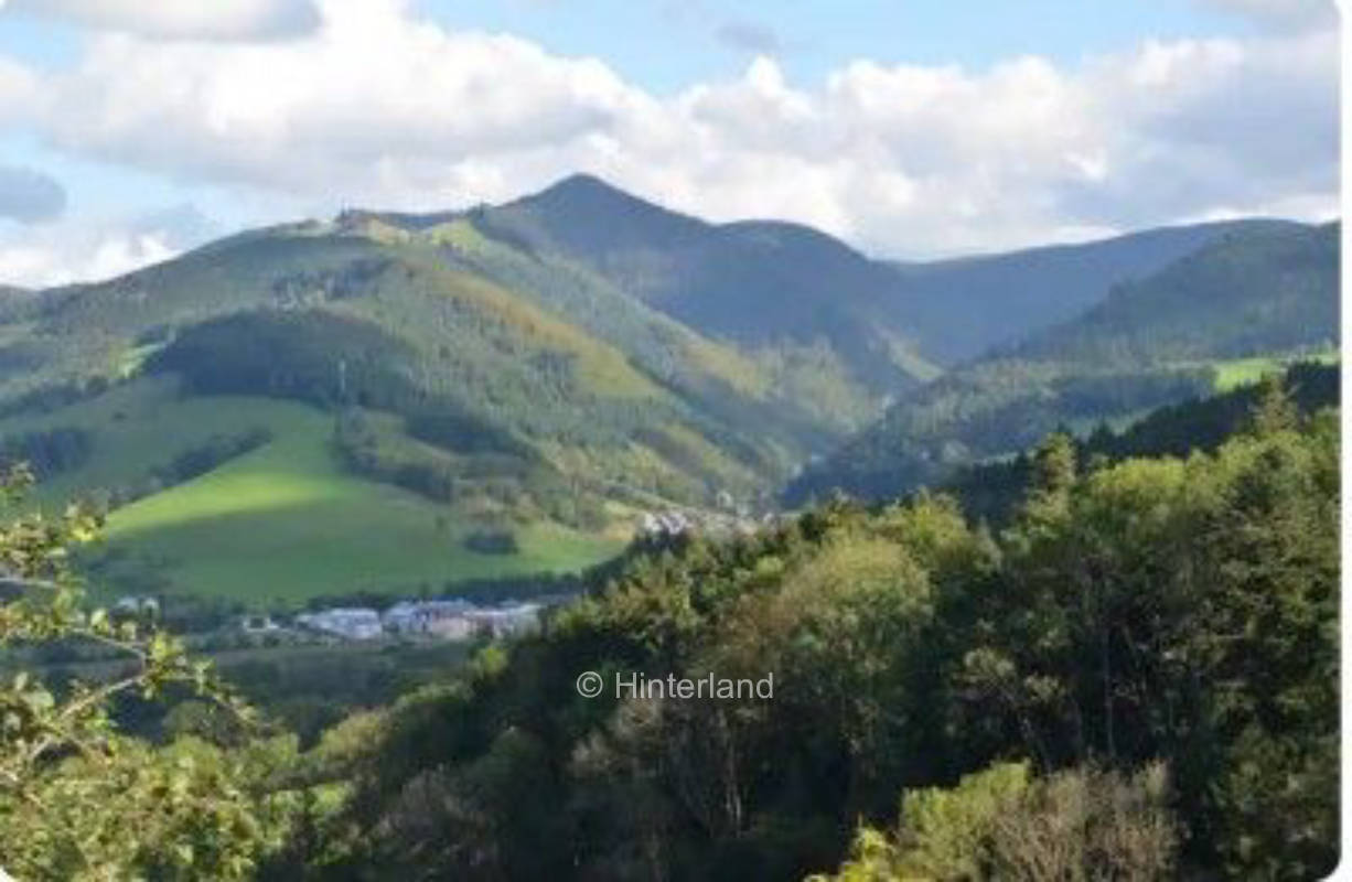 Wiese & Weide - Freies Stehen im Schwarzwald 