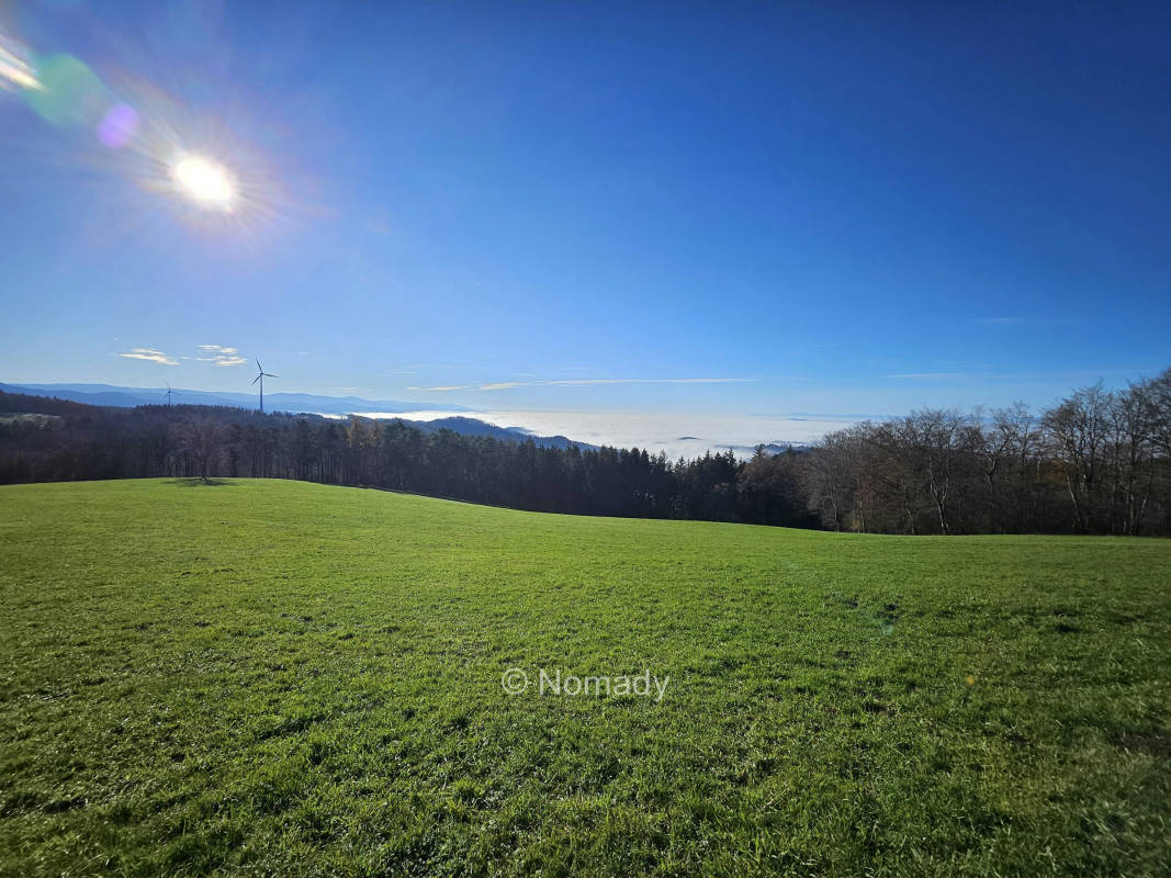 Natur pur – beim Kölble Hof – Windrad