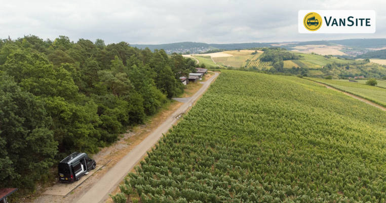 Pitch in the vineyards of Beckstein in the Tauber Valley