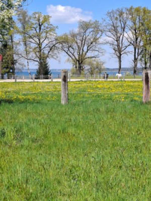 Just 100m from Lake Chiemsee: Parking space at the farm
