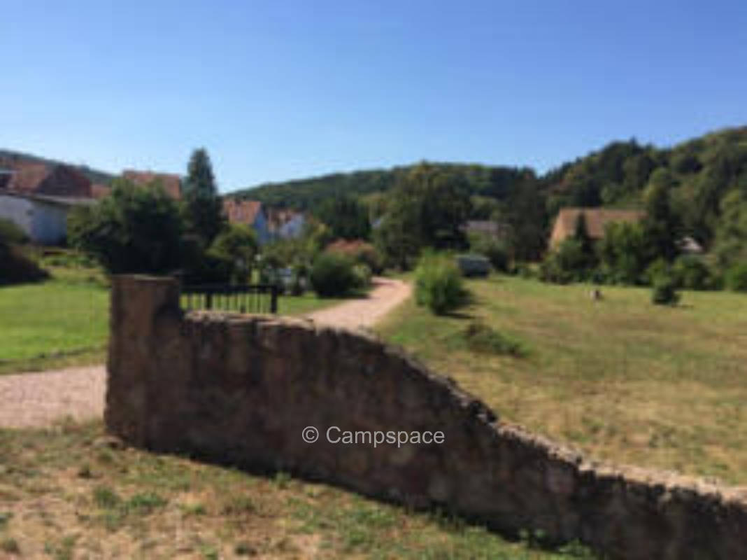 Camping at the organic winery O. Laubenstein in the North Palatinate Mountains