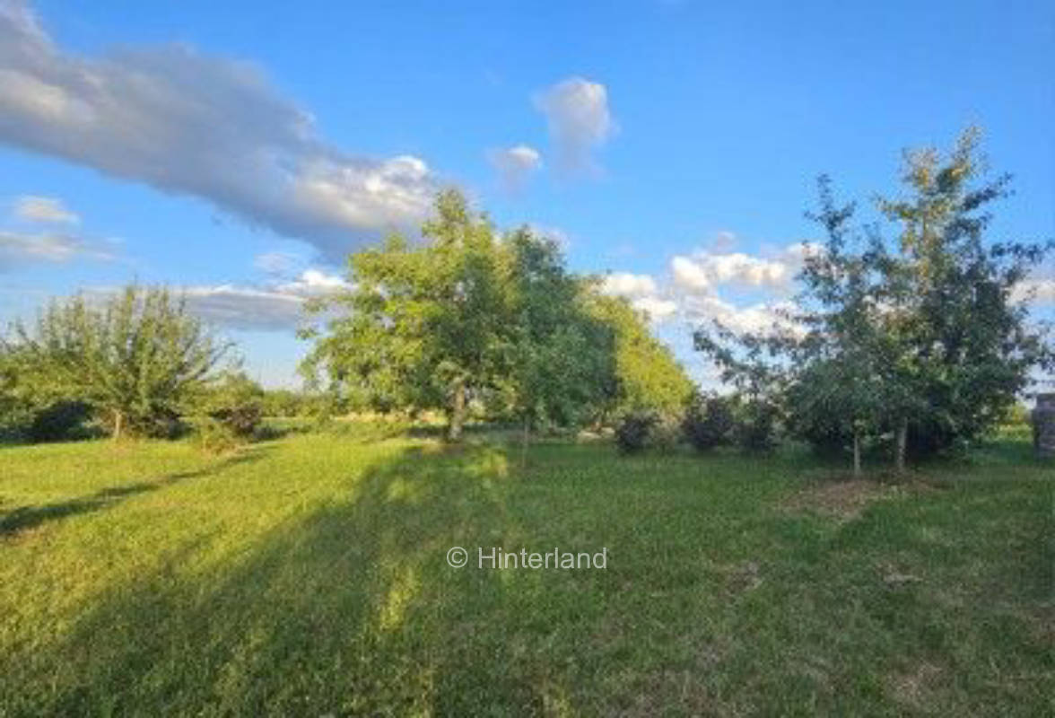 Kleine Streuobstwiese am Kaiserstuhl