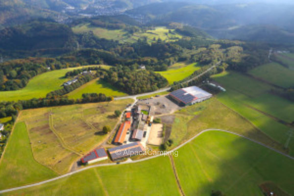 Ruhiger Platz in direkter Nähe zu den Alpakas #1