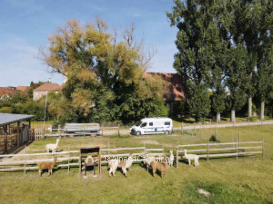 Stellplatz im Grünen #2