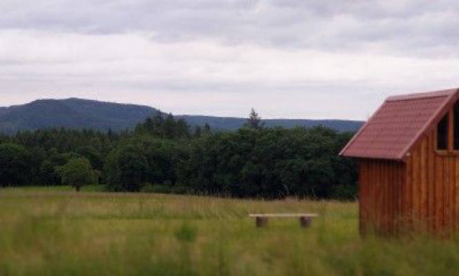 Verwildeter Obstgarten im Frau-Holle-Land