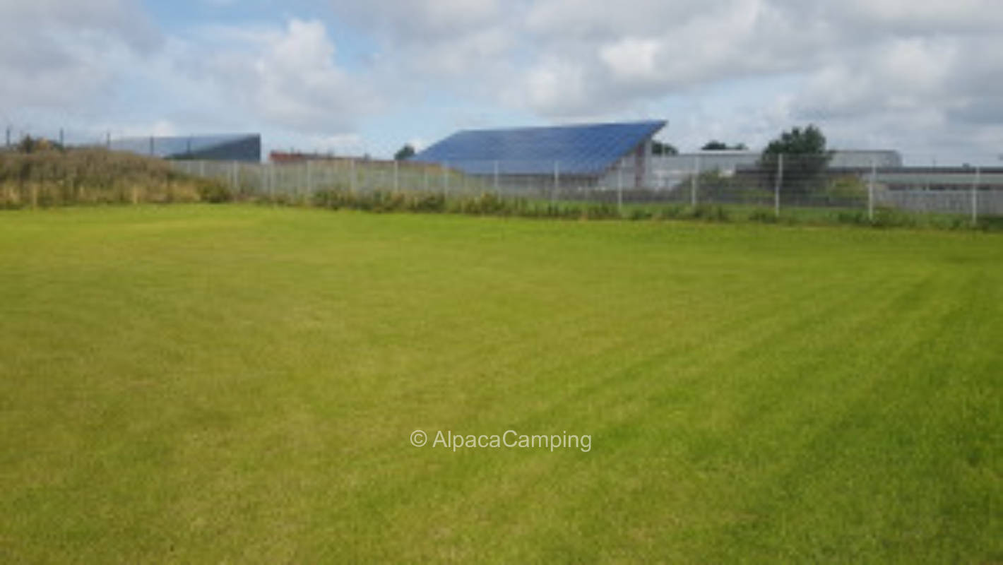 Lawn for self-sufficient campers in Husum/Nordsee #3