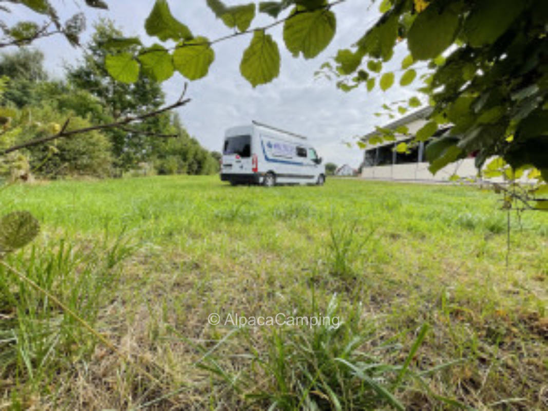 Pitch at the paddock #1