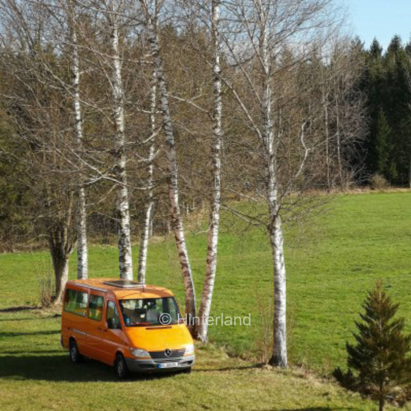 Platz am Wald- und Wiesenrand mit Bachgeplätscher