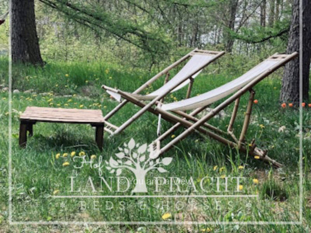 Wilde Schönheit