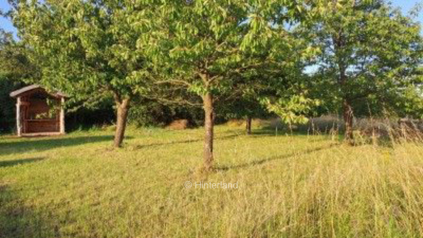 Zelten auf der Obstwiese nahe dem Kummerower See