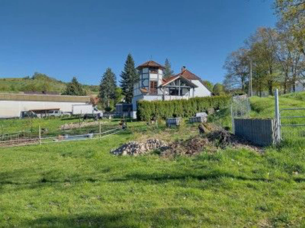 Camping bei den Schafen: Idylle im Beisetal