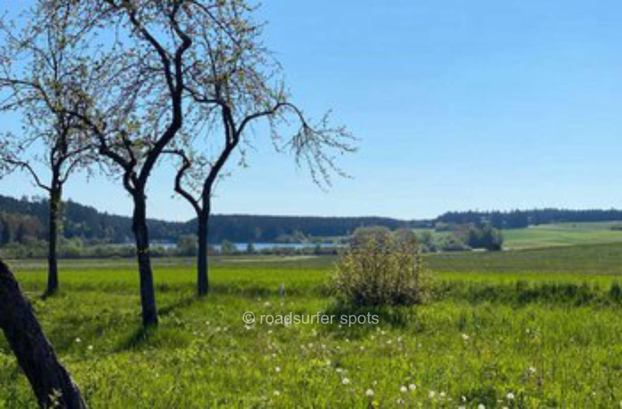 Stellplatz am Waldrand unweit des Kirnbergsees