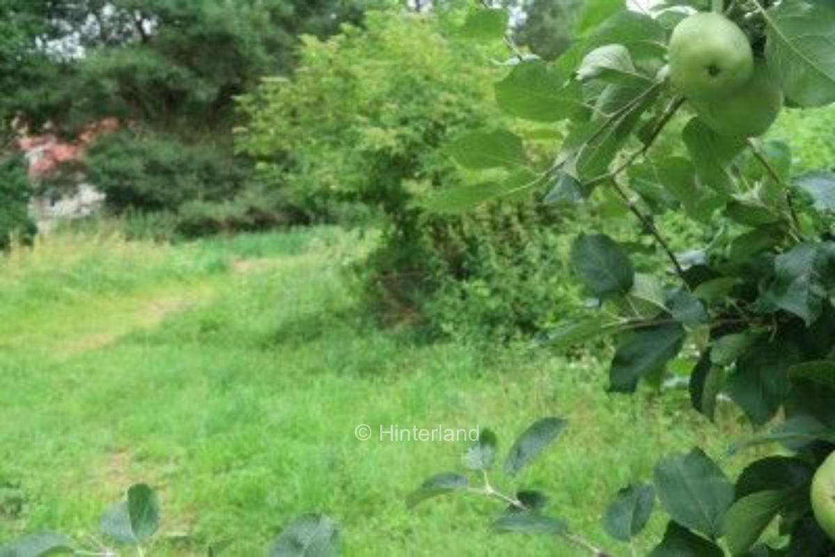 Privat Stellplatz- Campen vor den Toren von Usedom