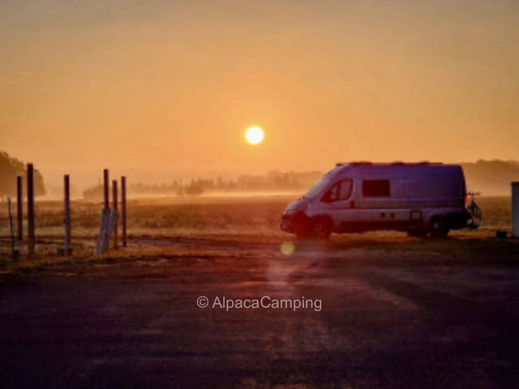 Beautiful pitches on the edge of the Drömling #2