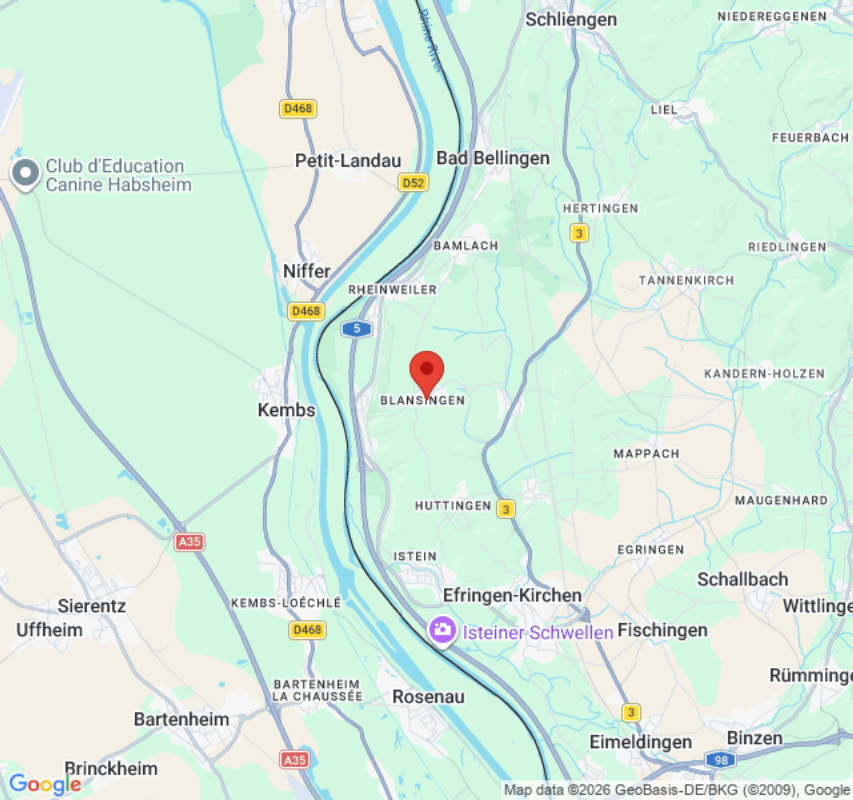 Stellplatz hinter dem Weingut (Campspace 6072)