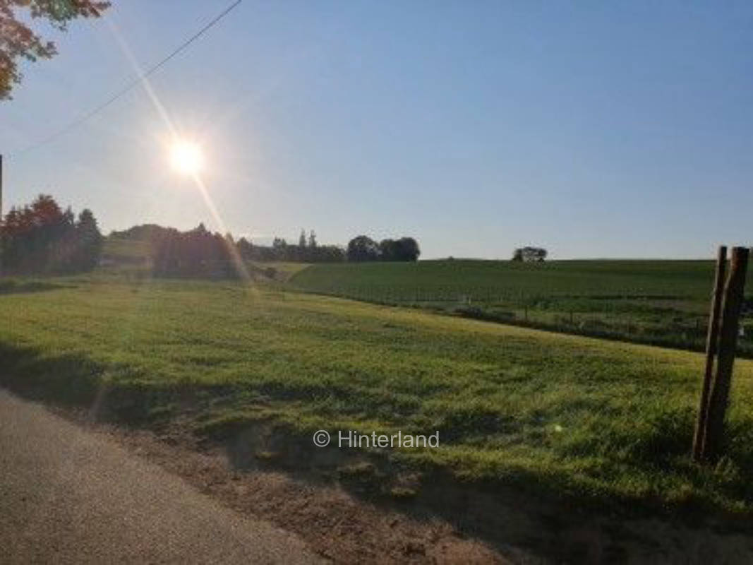 Natur pur – Stellplatz nahe Wald und Feld