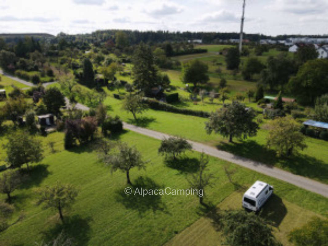 Gesundheitscamping - Qi Gong für Anfänger #2