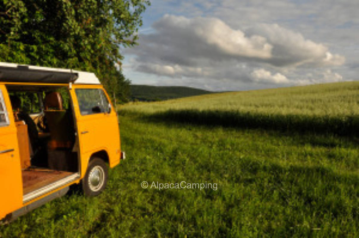 Stellplatz auf der Obstwiese mit Blick auf die Umgebung #3