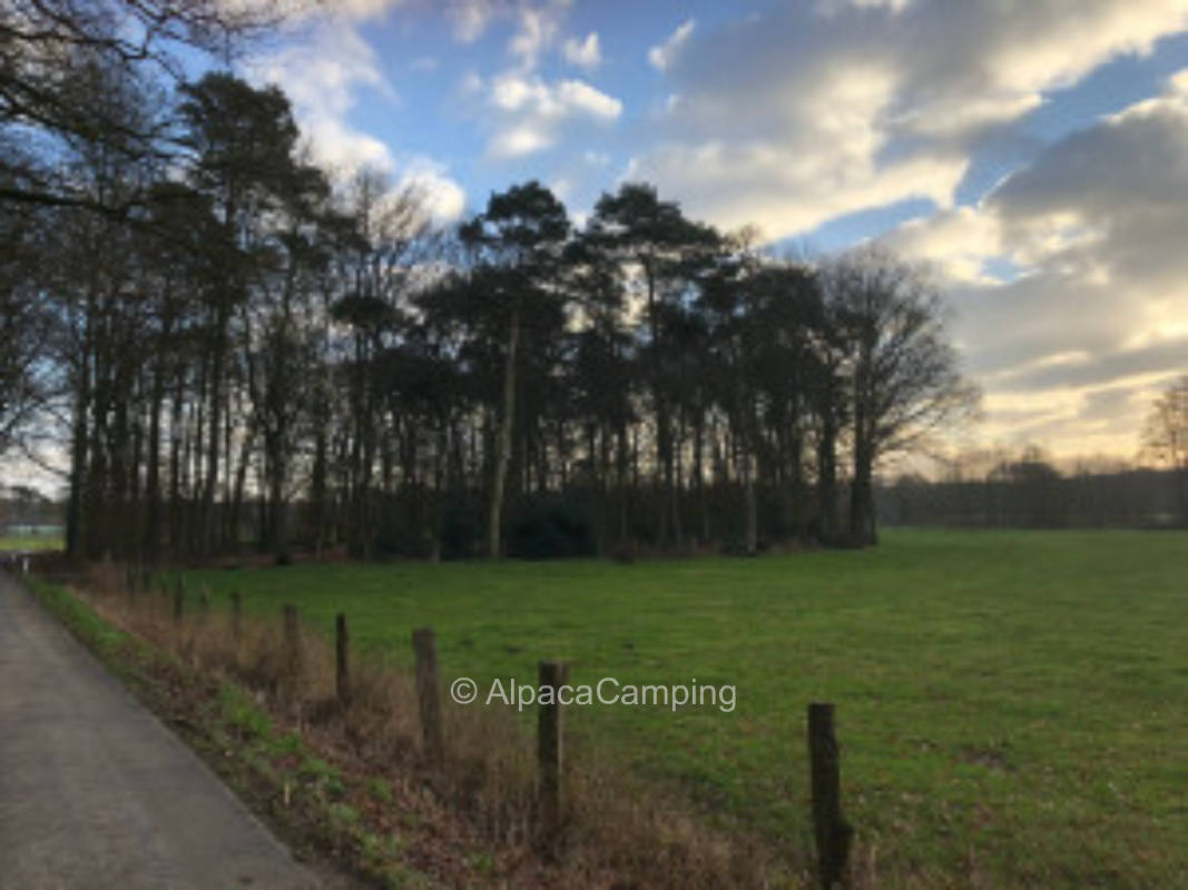 Single parking space at the cattle meadow