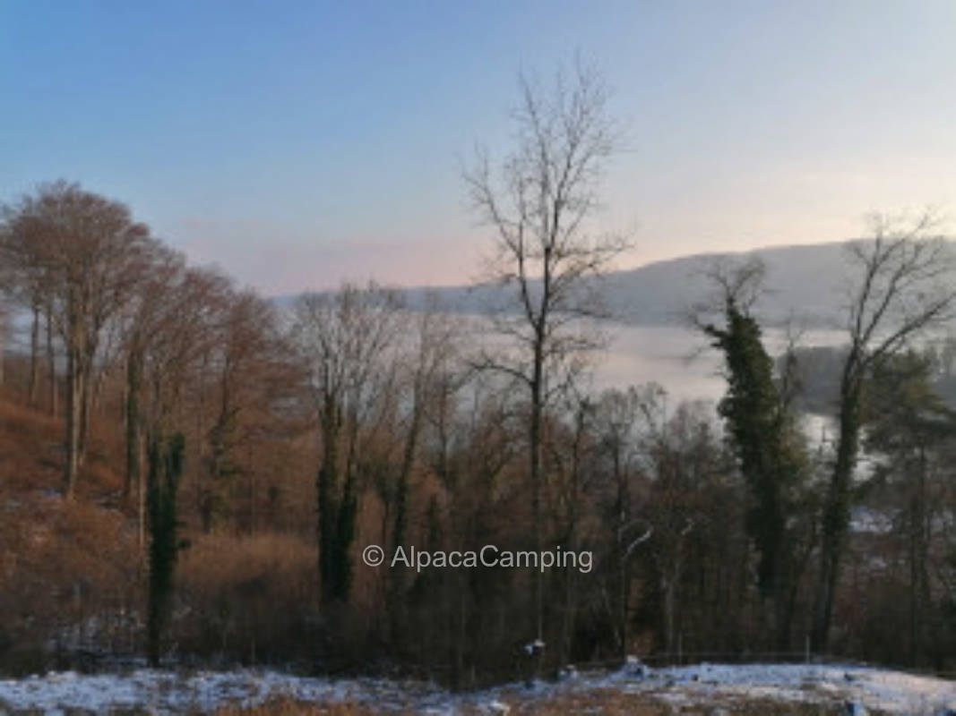 Lake Constance view alone in nature #1