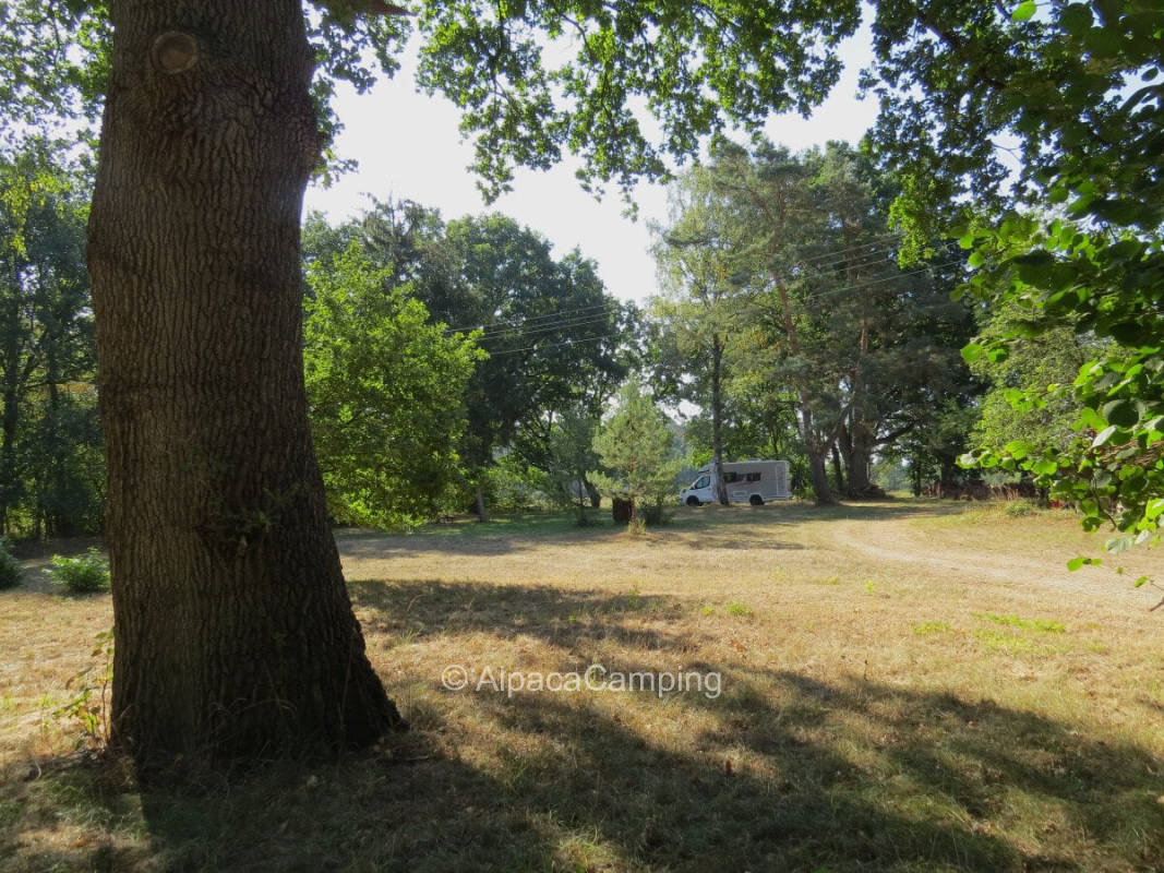 AlpacaCamping 2380