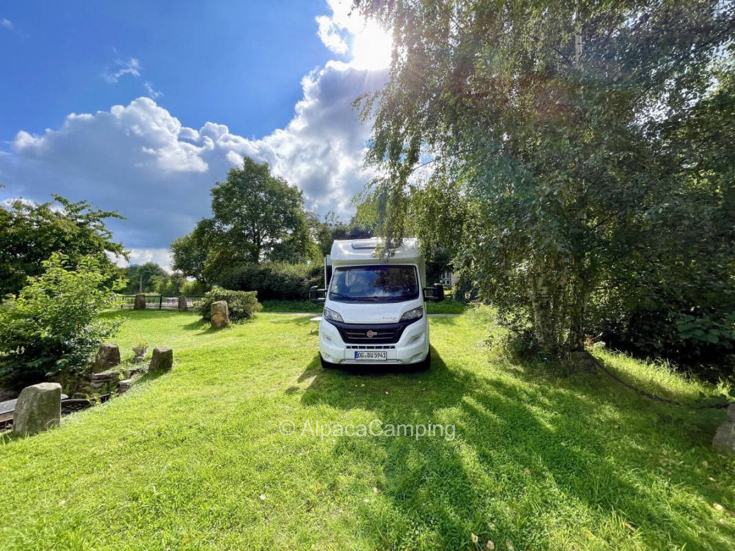AlpacaCamping 5697