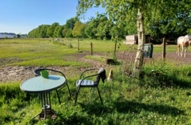 Camping at the Forest Edge