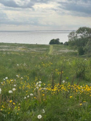 Far horizons by the sea – Experience "Lyv Ærø"