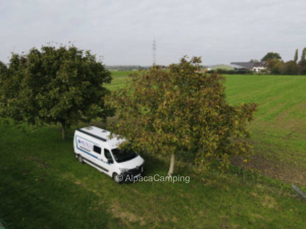 Rest and relaxation at the foot of the Rhine dike with direct connection to bike path on the dike crest #2