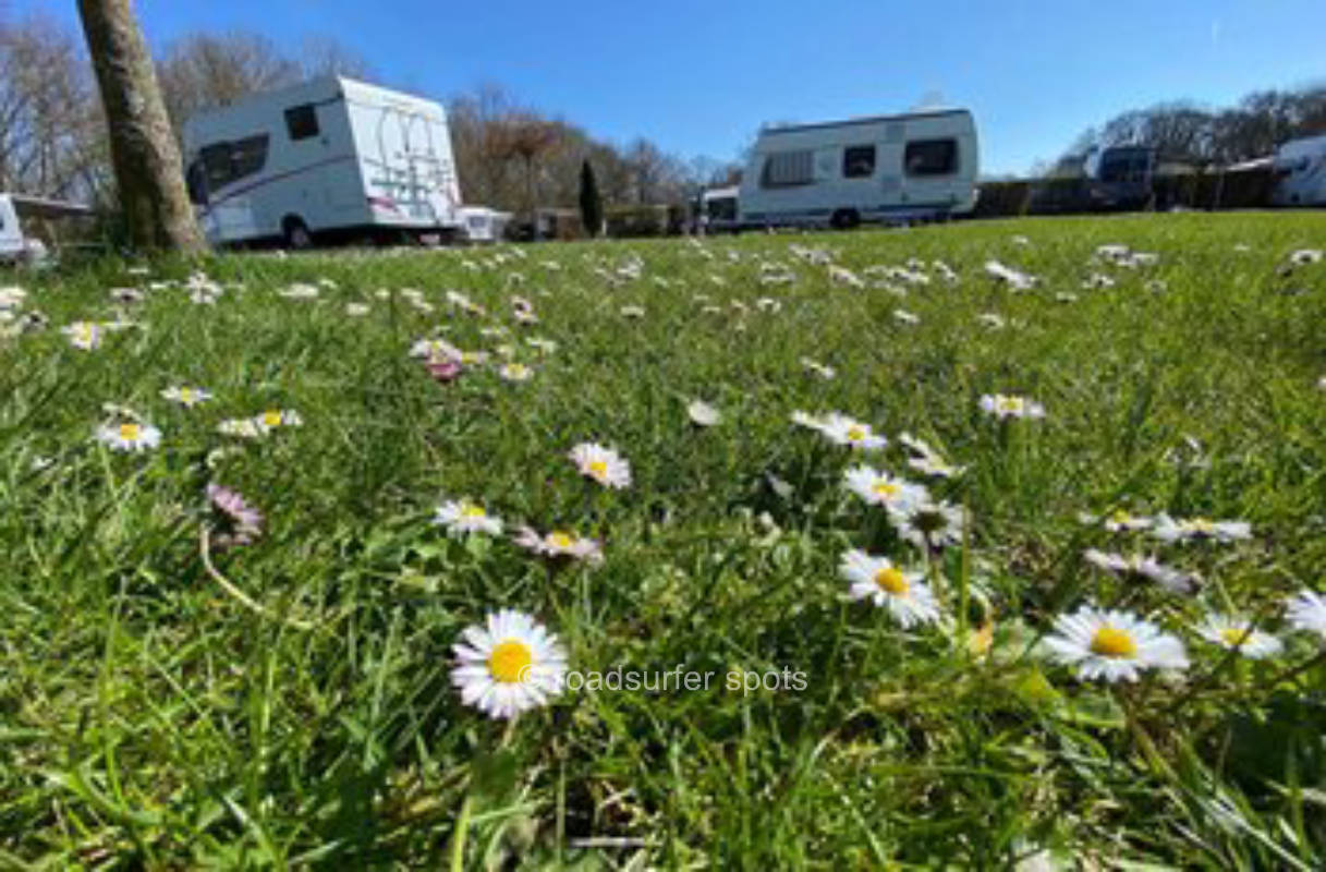 Spend the night on the meadow