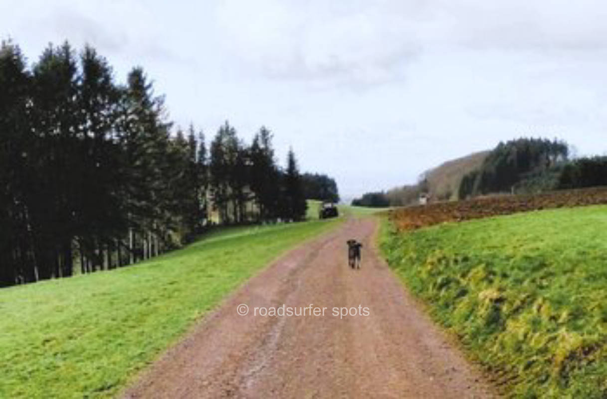 Camping mit viel Ruhe und Weitblick