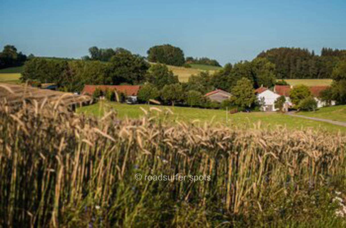 Organic Farm AmVieh Theater
