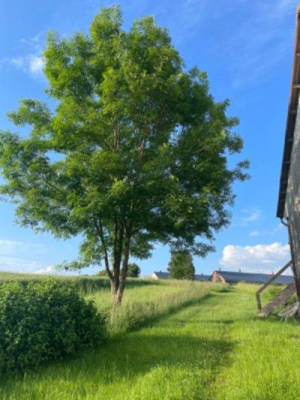 Slowing down on our farm right by the field