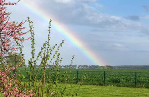 Camper-Wiese – private and peaceful in the south of Rügen