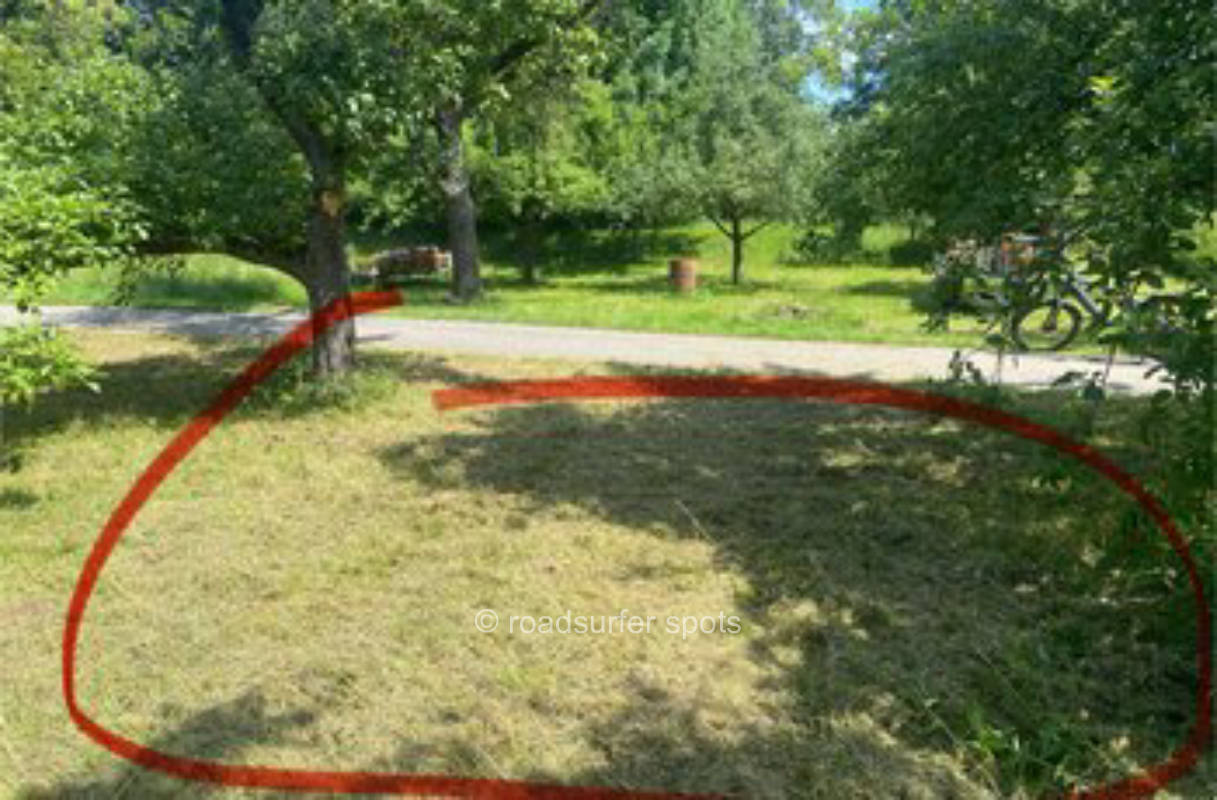 Ohne Nachbarn: Obstwiesen-Yoga unter Apfelbäumen