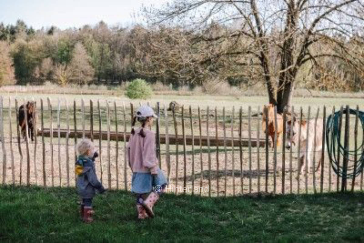 Naturcamping im Naturpark Uckermärkische Seen