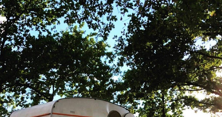 Stay & Tree