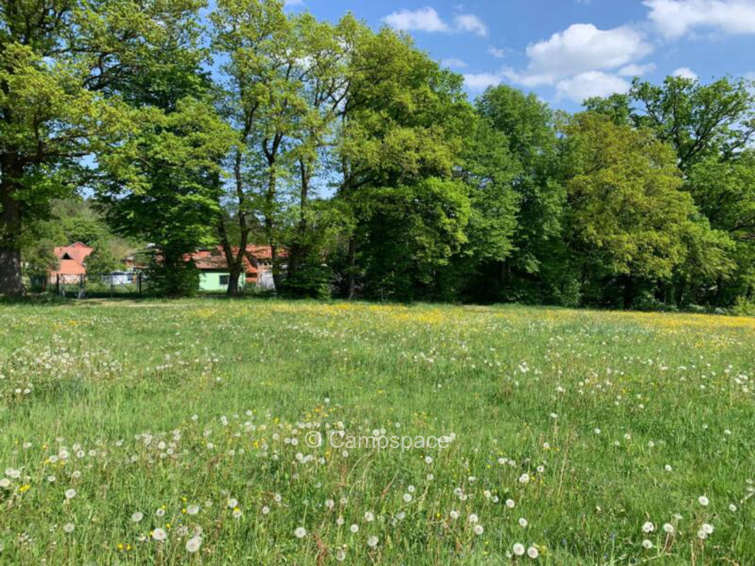 Wohnmobilstellplatz (Campspace 4972)