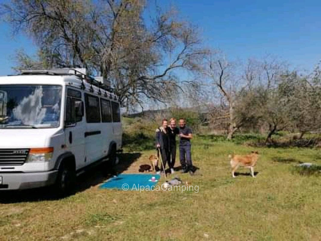 AlpacaCamping 574, privater Stellplatz