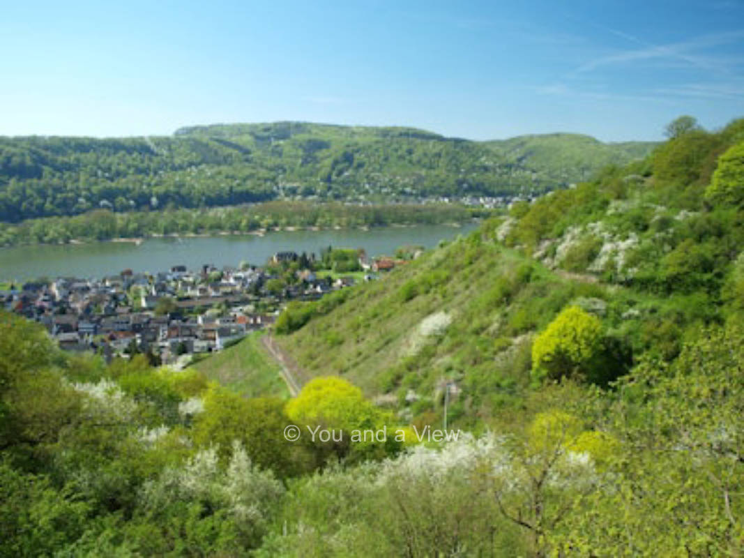 Wunderschöner Stellplatz in einem Wildgehege.