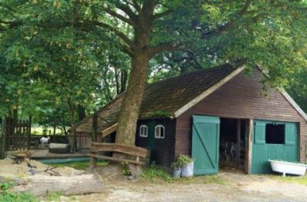 Farm Camping – Time Out with Animals & in Nature