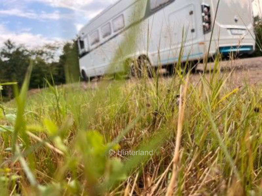 Lieblingsort im Grünen im Saynbachtal