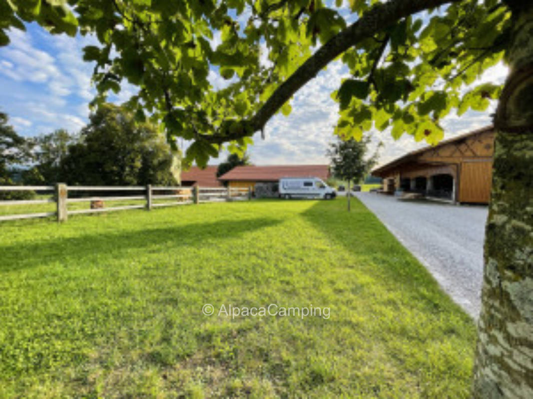 Pitch at the cow pasture #2