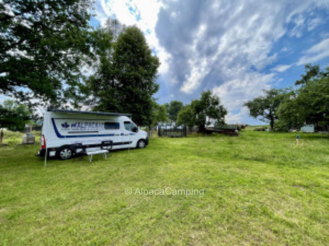 Streuobstwiese im Erzgebirge #1